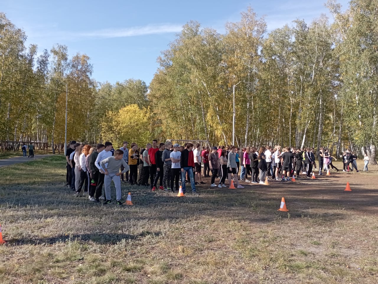День здоровья День здоровья.