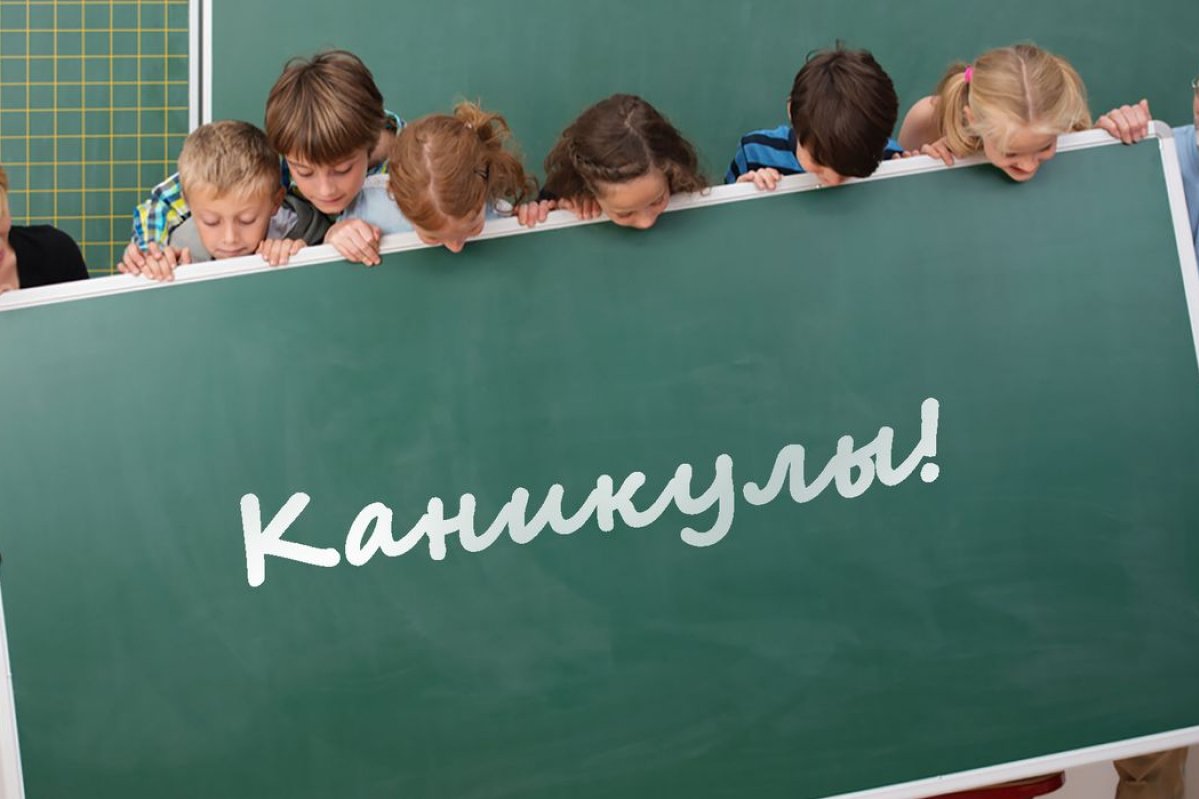 https://vk.com/video-136806040_456239483 https://vk.com/video-136806040_456239483.