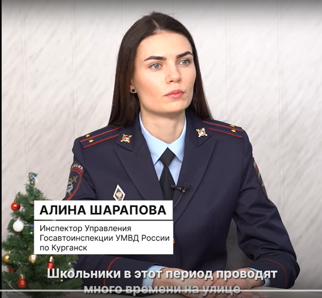 Безопасные зимние каникулы Безопасные зимние каникулы.