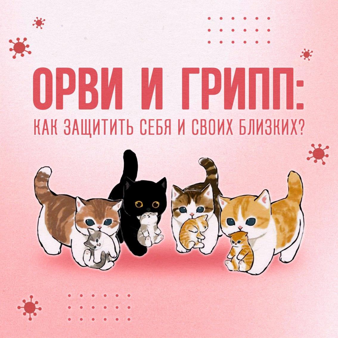 Профилактика Гриппа и ОРВИ Профилактика Гриппа и ОРВИ.