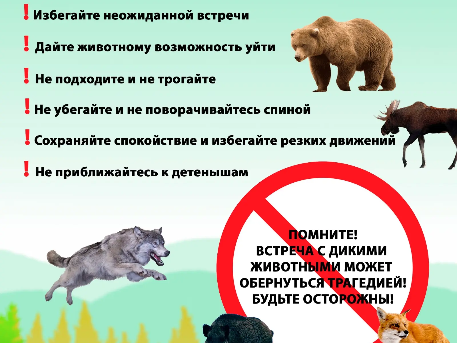 Осторожно! Дикие животные!.