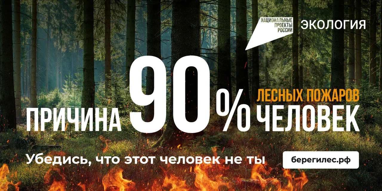 Береги лес Береги лес.